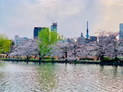 【周辺】 | ＢｒｉｌｌｉａＴｏｗｅｒ上野池之端