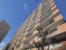 ルックハイツ金町