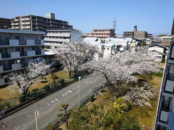 枚方東山住宅5棟の展望|■物件内覧・資金計画相談・住宅ローン相談、リフォーム相談、お問合せ受付中■
※当日・翌日のご内覧、ご相談はお電話でのお問合せがスムーズです！