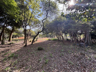  | 桜川市下泉438坪売地