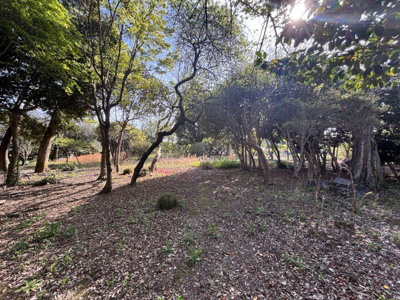  | 桜川市下泉438坪売地
