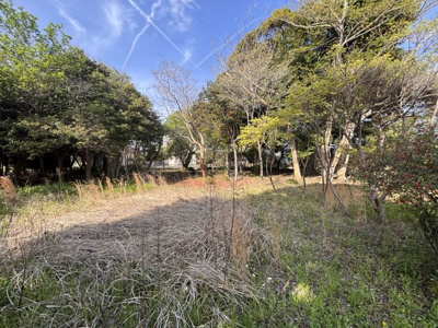  | 桜川市下泉438坪売地