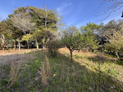  | 桜川市下泉438坪売地