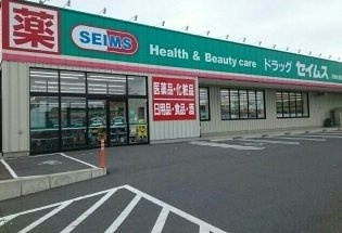 【周辺】 | グランエル | ドラッグセイムス 石巻大街道店まで450m
