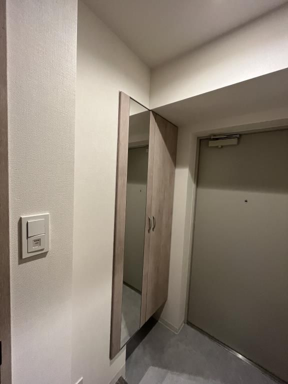 プラナ北上野の玄関