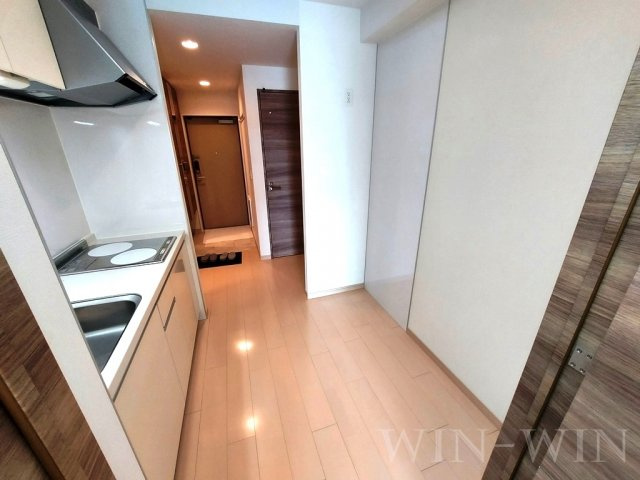 アン・ソレイユのその他