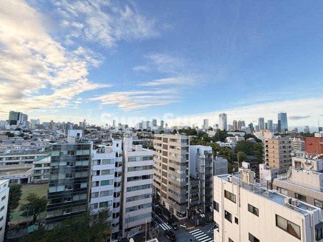 プロスペクト・グラーサ広尾の展望