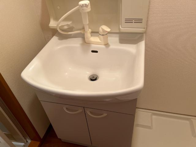 ブルーサンズ　セントラルの洗面所|洗面
