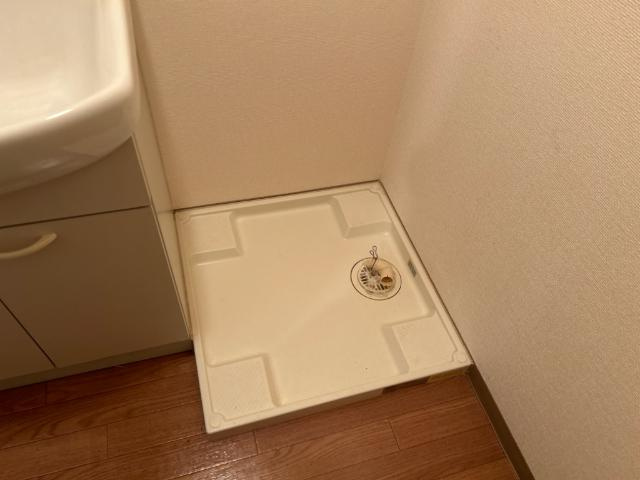 ブルーサンズ　セントラルのその他|その他