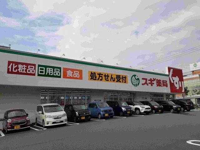 グラース　Ｔ＆Ｓの周辺|スギ薬局 羽根北店まで700m