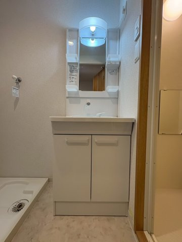 ウィステリアコート正雀の洗面所