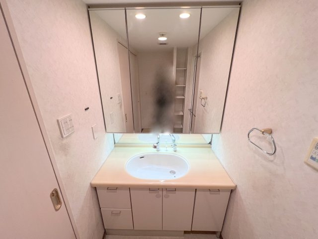 ルイシャトレ生駒の独立洗面台