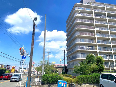 【周辺】 | 狭山スカイハイツ | マンション周辺の植栽が目隠しになり、前面道路からの視線が気になりにくいのも嬉しいポイント！ぜひ一度、現地をご覧ください。
