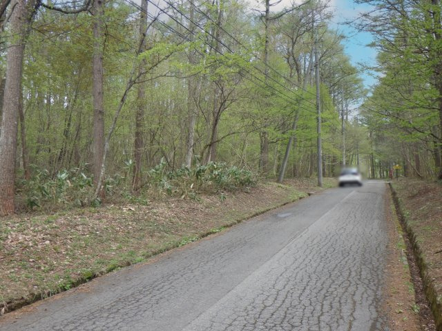 飯綱高原つつじが原（サニーハイランド）②の前面道路含む現地写真