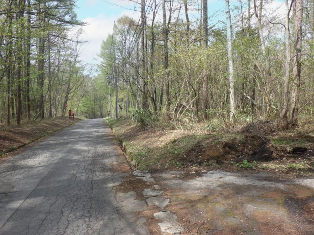 飯綱高原つつじが原（サニーハイランド）②の前面道路含む現地写真