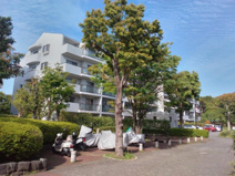 シーブリーズ金沢7号棟の画像