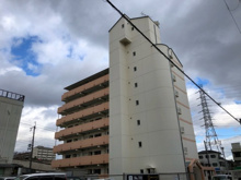 トゥエルブイナバソウの画像