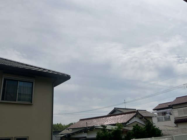 イーストヒルズの展望