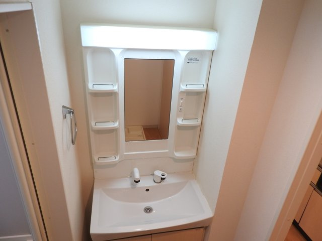 メゾン・ド・赤迫の洗面所