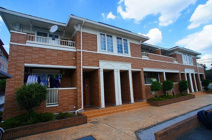 プルメリアの画像