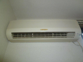 UB全体