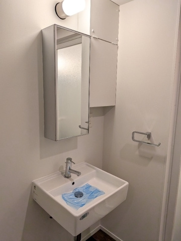 新品家具付きマンション深沢1(KaGood東京)の洗面所