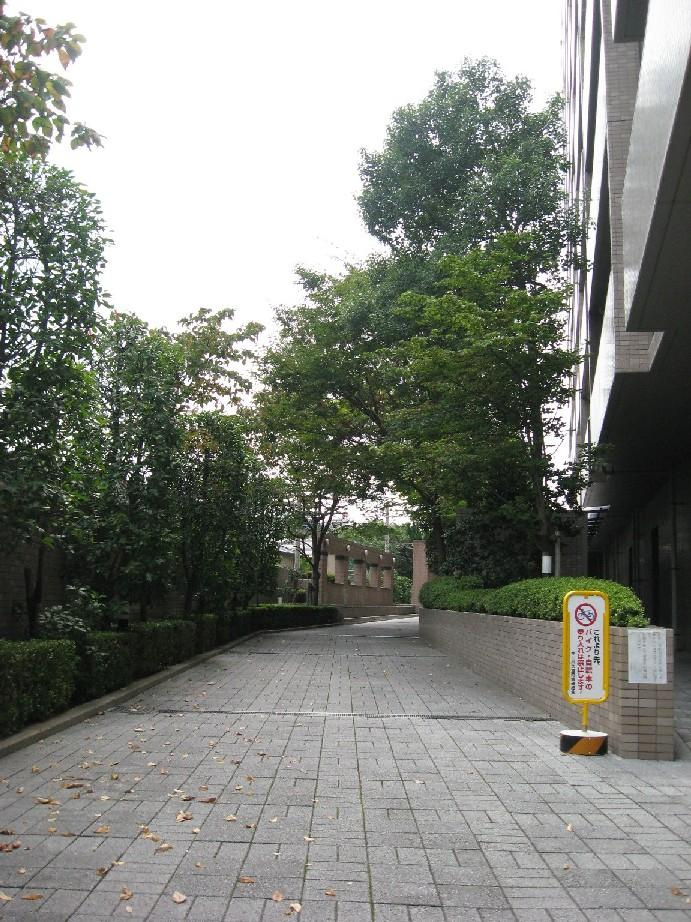 敷地内に緑があるので、植栽の連なりが作り出す美しい景観も日々味わうことができます♪