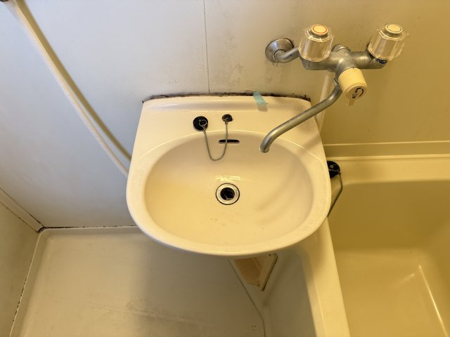 ロジェほりのの洗面所
