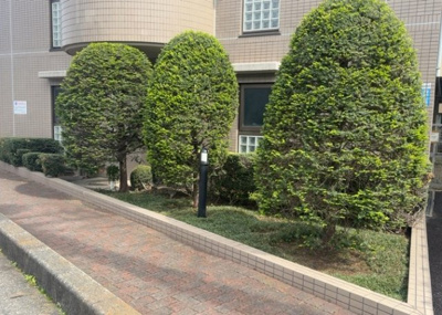 【中庭】 | シーアイマンション橋本 | 中庭（パティオ）とは、一つの建築物の内部に設けられた、壁などで囲われている庭のことを指します。コの字型、ロの字型が主流ですが、L字型の中庭もあります。最近では、インテリア性の高さからも人気があります。