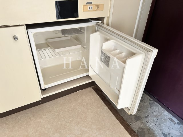AIパレスⅡのその他