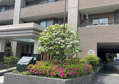【外観】 | レクセルマンション小田急相模原 | マンションの外観は非常に重要なポイントです！外観の善し悪しは資産価値に大きな影響を与えます。外観のいいマンションを購入することで、高値で売却がしやすく、買い手が見つかりやすいというメリットがあります。