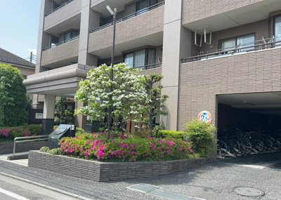【外観】 | レクセルマンション小田急相模原 | 隣家の土地はどうなっているのか、生活利便施設が近くにあるのか、学校まで近いかなど、お客様のライフスタイルにあわせたイメージが重要です。また、近くにあると困る施設が近くにないかも確認するといいでしょう。