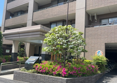 【現況写真】 | レクセルマンション小田急相模原 | 道幅が広い場所は日当たりや風通が良好です。幅が広いのですれ違いも可能ですし大きな車でも駐車可能！一方で、大型車が通ることも多くなるため交通量の増加により騒音に繋がります。また土地の値段が高くなります。