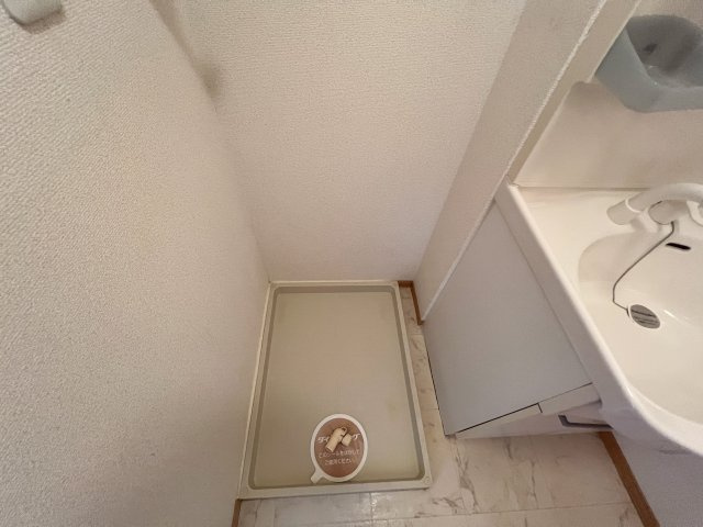 セジュール堂林 A棟の洗面所