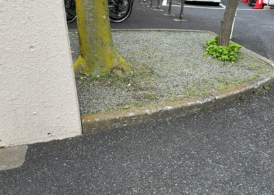 【中庭】 | 厚木栄町ハイツ | 中庭（パティオ）とは、一つの建築物の内部に設けられた、壁などで囲われている庭のことを指します。コの字型、ロの字型が主流ですが、L字型の中庭もあります。最近では、インテリア性の高さからも人気があります。