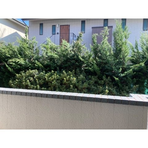 第2成城島田マンションのその他