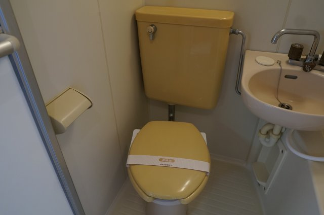 グリーンプラザ Bのトイレ