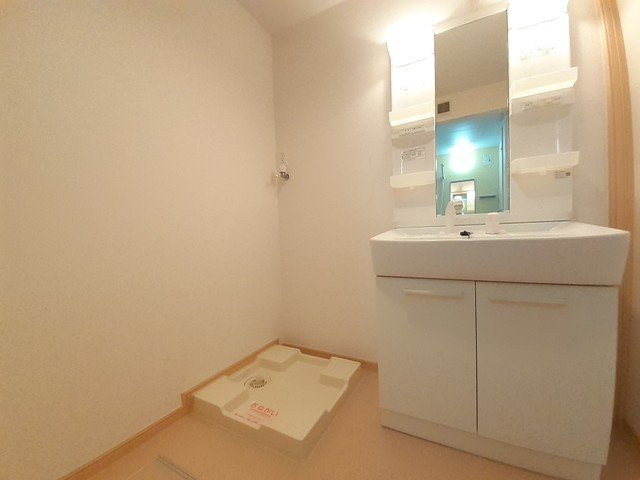 ビッグ　シャトーＥの洗面所