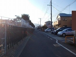 【周辺】 | プルメリア