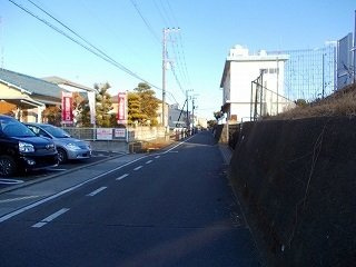 【周辺】 | プルメリア