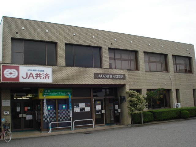 サイネリア－ＫⅠの周辺|ＪＡいずみ野片口支店まで800ｍ