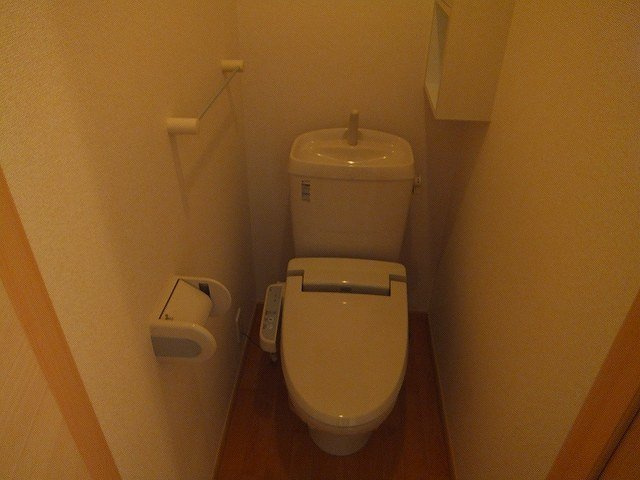 アッシュ６　Ａのトイレ|トイレも気になるポイント