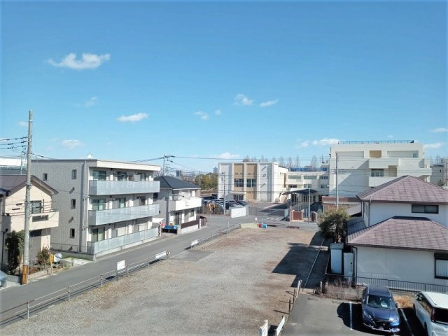 レオネクストヒマワリのその他
