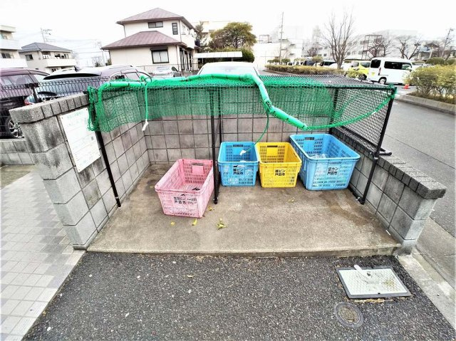 レオネクストヒマワリのその他