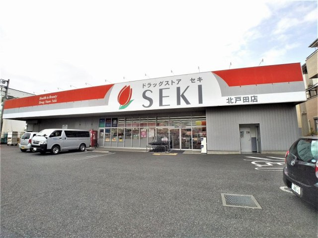 レオネクストヒマワリの周辺