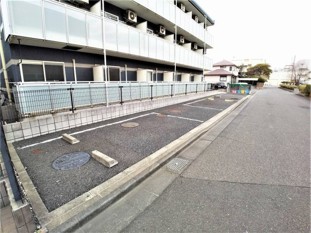 レオネクストヒマワリのその他