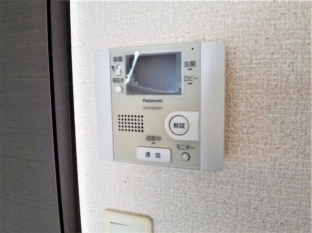 レオネクストヒマワリのその他