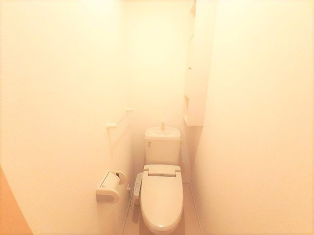 グレイス・エデンＢのトイレ|落ち着いたトイレです