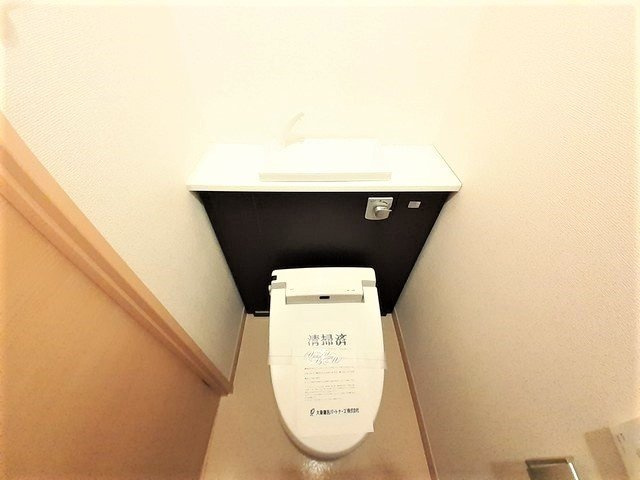 ルイシャトレ鏡のトイレ|落ち着いた色調のトイレです