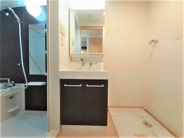 ルイシャトレ鏡の洗面所|洗面所です